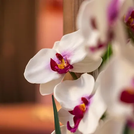 νεφέλη-σπίτι ολόκληρο για αξέχαστες διακοπές στην σιβηρη Apartament Siviri