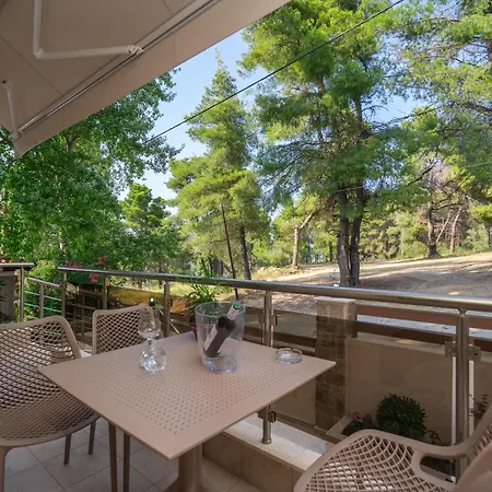 νεφέλη-σπίτι ολόκληρο για αξέχαστες διακοπές στην σιβηρη Apartament Siviri