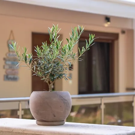 Apartament νεφέλη-σπίτι ολόκληρο για αξέχαστες διακοπές στην σιβηρη *