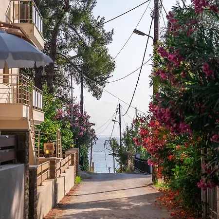 νεφέλη-σπίτι ολόκληρο για αξέχαστες διακοπές στην σιβηρη 公寓 *