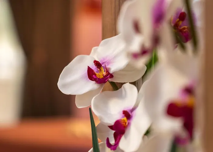 νεφέλη-σπίτι ολόκληρο για αξέχαστες διακοπές στην σιβηρη Appartement Siviri