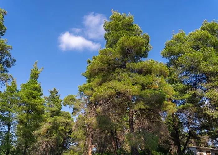 νεφέλη-σπίτι ολόκληρο για αξέχαστες διακοπές στην σιβηρη